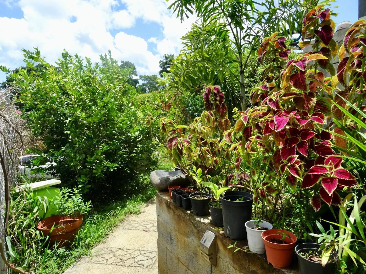 Bungalow Dourou Deshaies Extérieur photo
